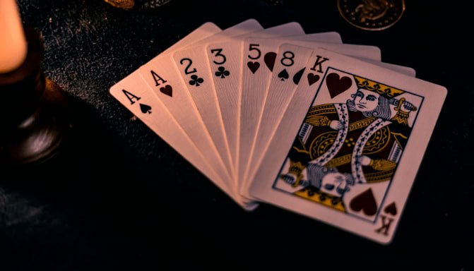 tiger 5555bet